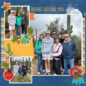 Saguaro National Park