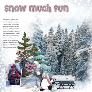 Snow fun