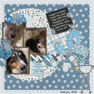 Cooper and Tanner-Snowed In