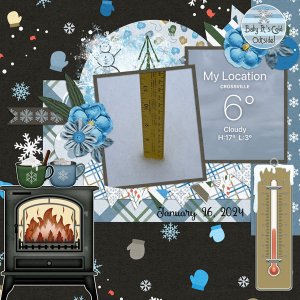 Snowed In-January 2024