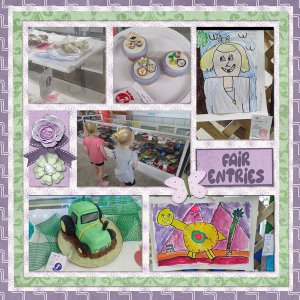 2023 Fair entries