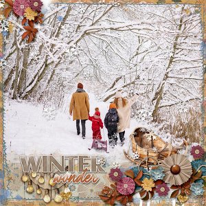 Winter Wonder
