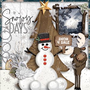 Snowy days