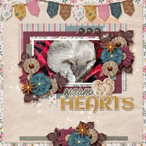 Warm Hearts
