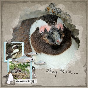 Penguin Love