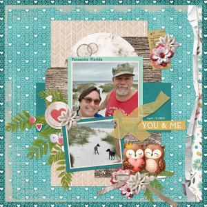 2024 February Bundle from Designs by Connie Prince