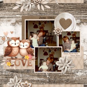 2024 February Bundle from Designs by Connie Prince