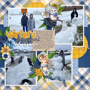 Wintery Playground
