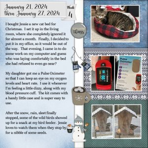 Project 365 Challenge - Week 4
