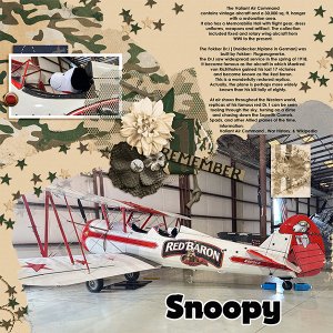 Snoopy and the Red Baron