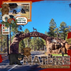 Bearizona