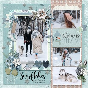 Winter walk