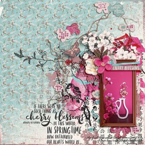 Cherry Blossoms