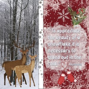 January 2024 Memory Mix-Up Challenge
