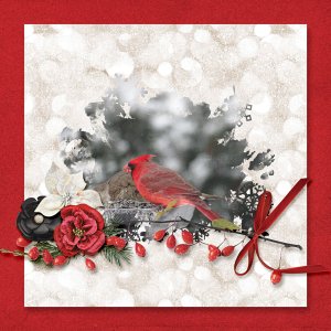 Cardinal in the snow