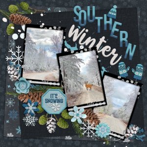 Southern Winter