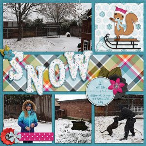 1/10/2021 Snow Event 1