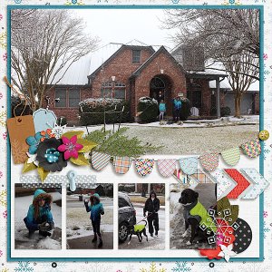 1/10/2021 Snow Event 4