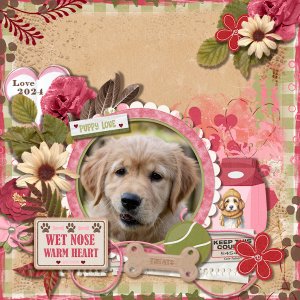 Wet Nose Warm Heart