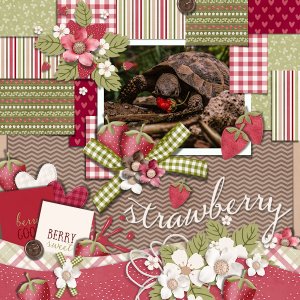 Strawberry