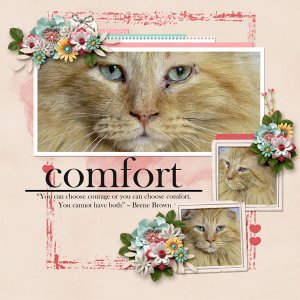 Comfort