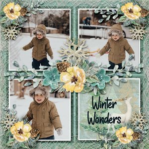 Winter Wonders