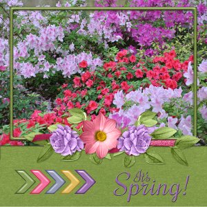 It's SPRING
