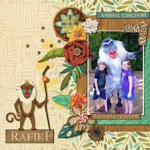Meeting Rafiki