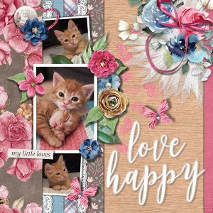 Love Happy