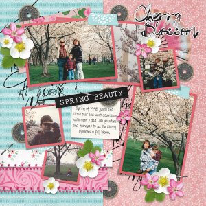 Cherry Blossom with Pinned 1 temp #2-Aimee NOTE Staples from Template not K