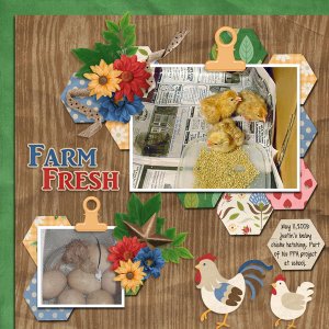 Farm Fresh-Aimee Honeycomb Templates #2-ScrapbookCrazy