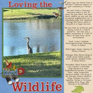 Loving the Wildlife