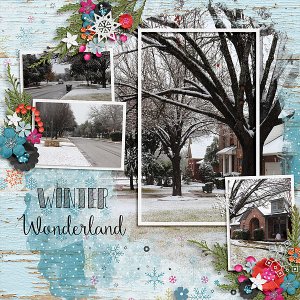 1/10/2021 Snow Event 6