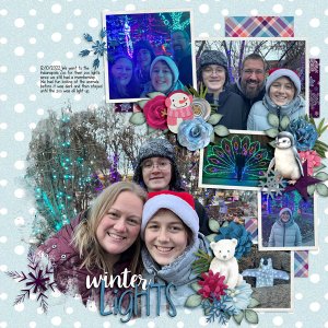 Winter Lights