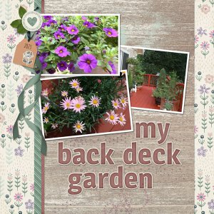 My Back Deck Garden
