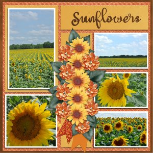 Sunflowers