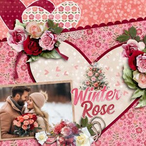 winter-rose-aimee-harrison