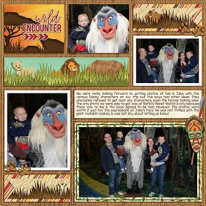Meeting Rafiki