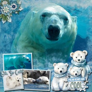 Polar Bears are so Cool