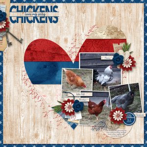 Chickens-in-the-Spring