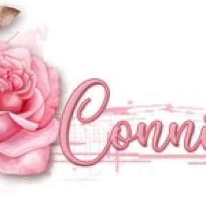 Feb Siggie
