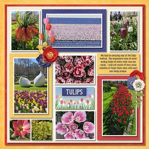 Europe_Tulip Festival