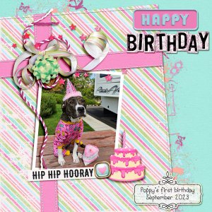 Happy Birthday Poppy