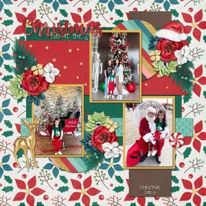 Christmas Fun at the Stella