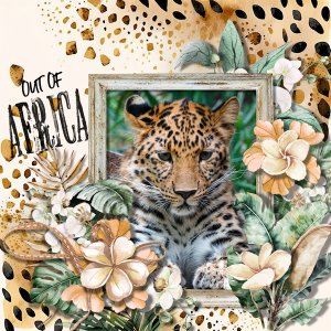 Out Of Africa