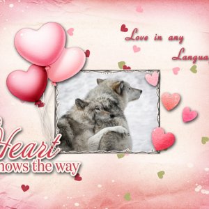Love in any Language