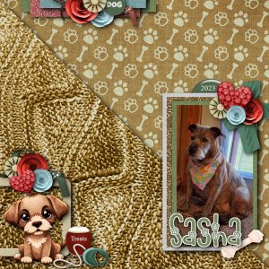 Love my Pets