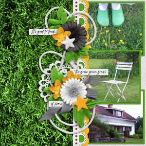 Green Grass of Home