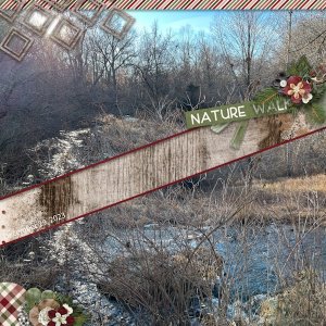 Nature Winter Walk