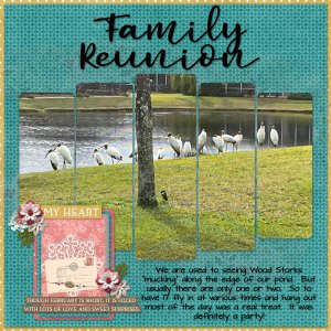 Family Reunion